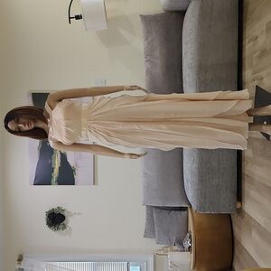 Adrianna Papell Blush Maxi Dress